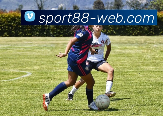 88体育品牌故事